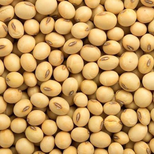 soyabean-4.jpg