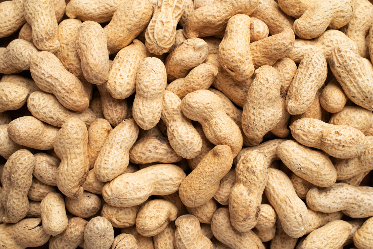 peanuts-rotated.jpg